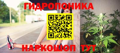 мет Гай