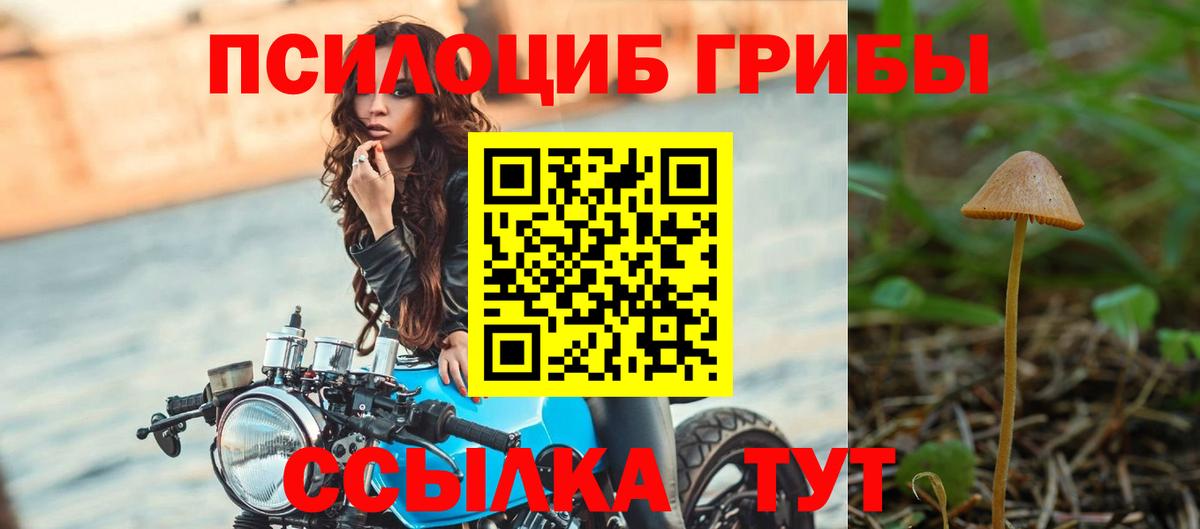Галлюциногенные грибы MAGIC MUSHROOMS  Вход с VPN  Южно-Сахалинск 